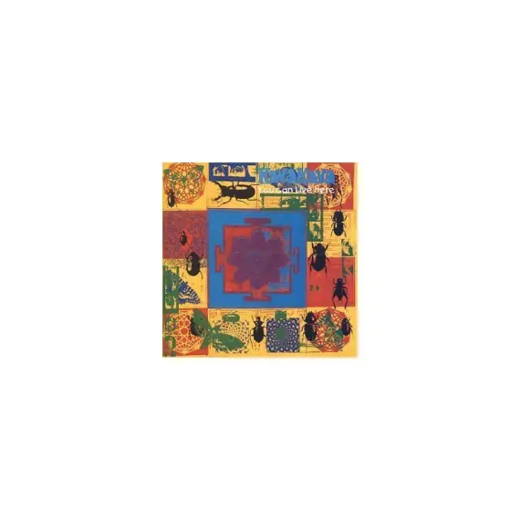 Kava Kava - You Can Live Here LP