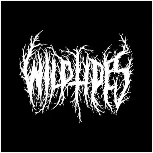 Wild Tides / My Dead Cat - Split LP