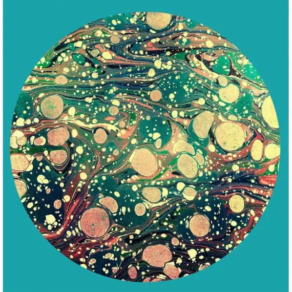 Horrors, The - Higher 4LP (+2CD+DVD) box