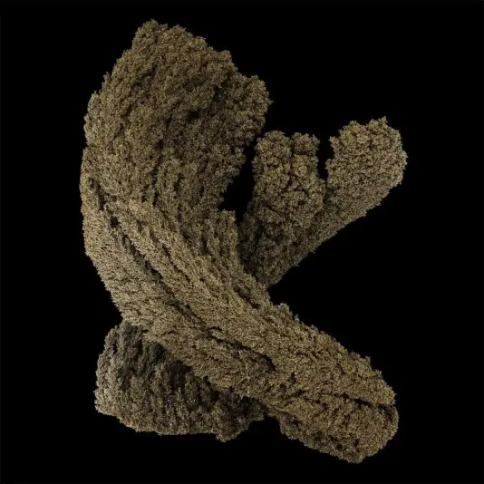 Max Cooper - Emergence 2LP