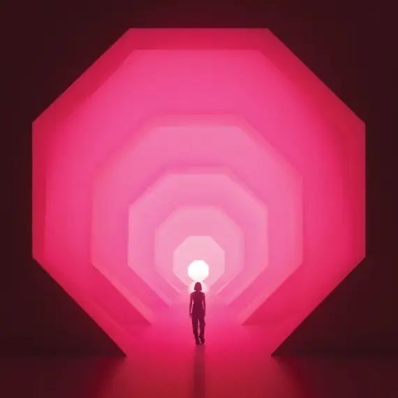 Lapalux - Amnioverse 2LP (pink splatter vinyl)