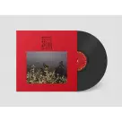 Bonnie "Prince" Billy - I Made A Place LP