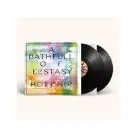 Hot Chip - A Bath Full Of Ecstasy 2LP