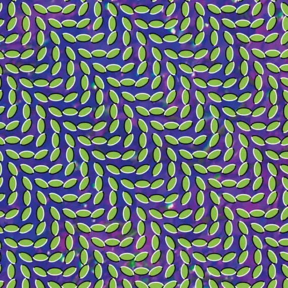 Animal Collective - Merriweather Post Pavilion 2LP