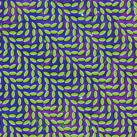 Animal Collective - Merriweather Post Pavilion 2LP