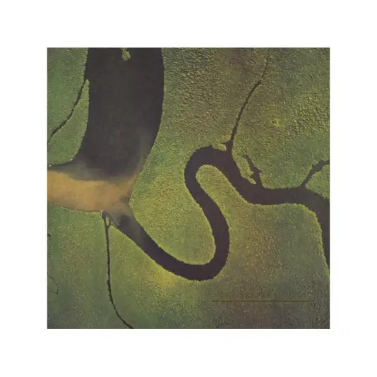 Dead Can Dance - The Serpent's Egg LP
