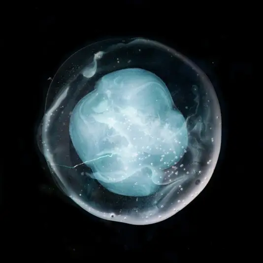 A Winged Victory For The Sullen - The Undivided Five LP