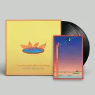 Bombay Bicycle Club - Everything Else Has Gone Wrong 2LP (deluxe edition)