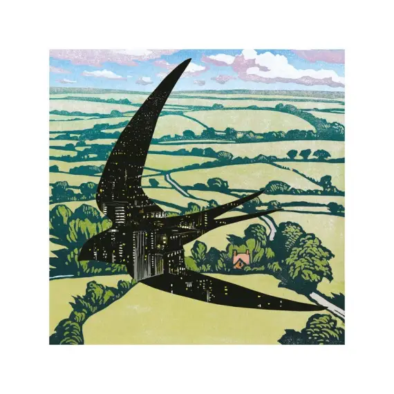 Bibio - Sleep on the Wing LP