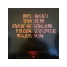 Thao & The Get Down Stay Down  ‎– Temple LP