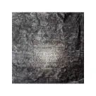 U.S. Girls  ‎– Heavy Light LP