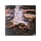 Moses Sumney  ‎– græ  2LP