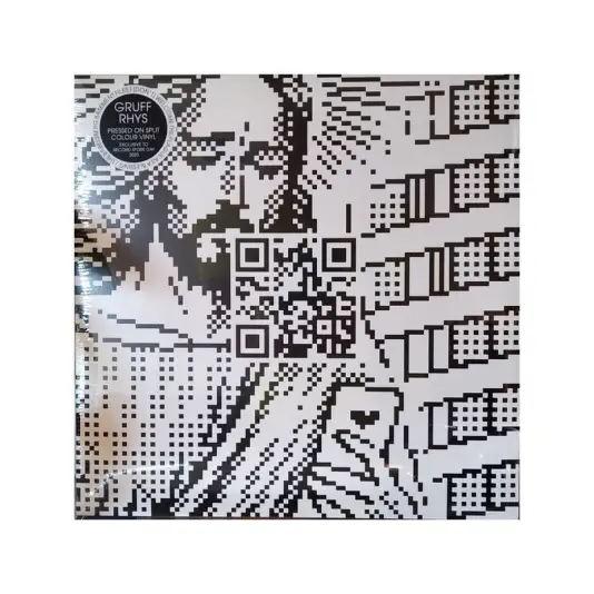 Gruff Rhys  ‎– (Don't) Welcome The Plague As A Blessing / The Babelsberg Basement Files