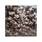 Kate Bush  ‎– The Dreaming