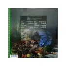 Progres №2 – Třetí Kniha Džunglí