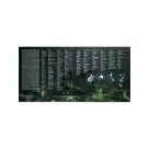 Progres №2 – Třetí Kniha Džunglí