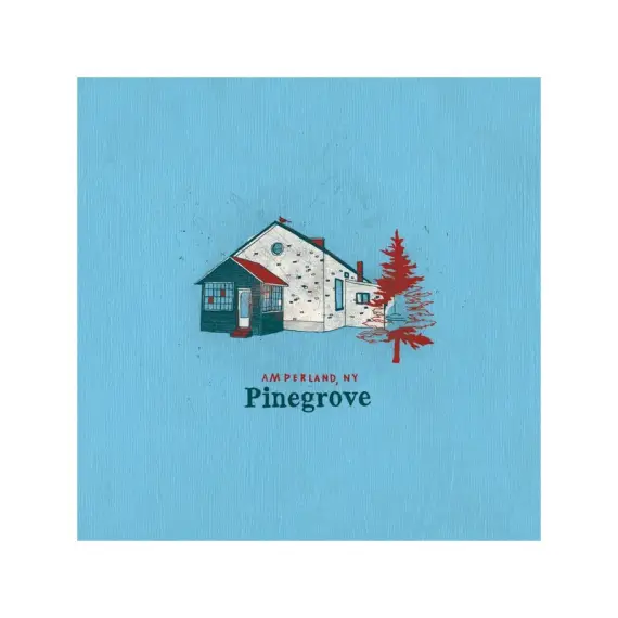 Pinegrove - Amperland NY 2 LP