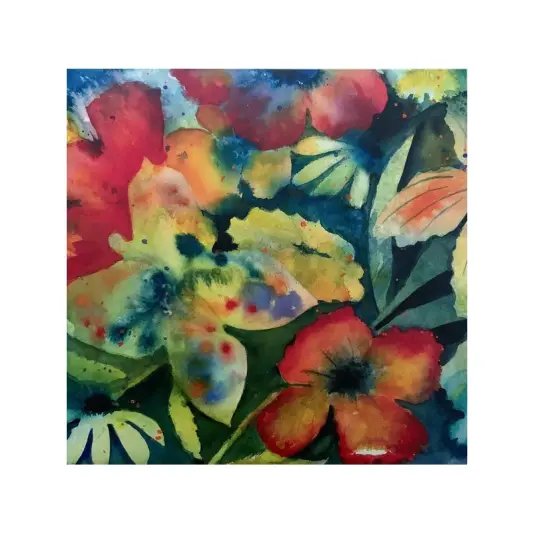 Lenker Adrianne - Songs and Instrumentals  2LP