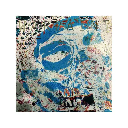 2 LP Warpaint - The fool/limited Weatherall mix