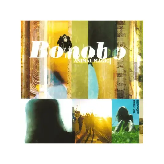 Bonobo - Animal magic
