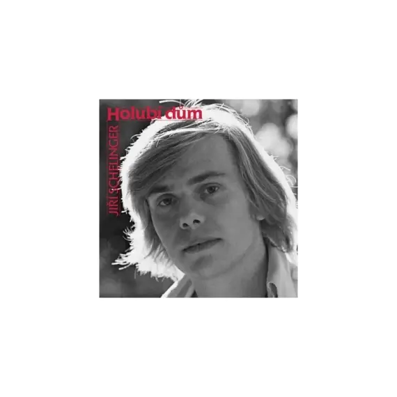 Jiří Schelinger - Holubí dům