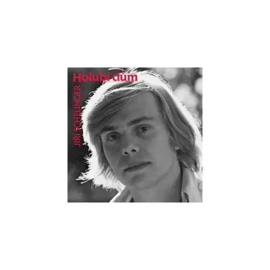 Jiří Schelinger - Holubí dům