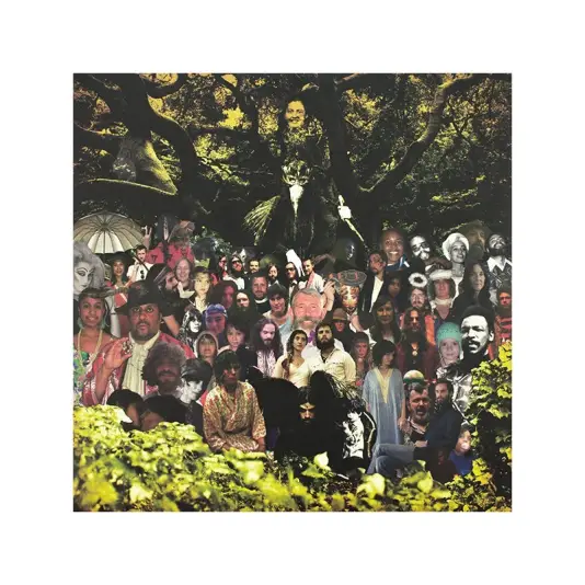 Devendra Banhart - Cripple crow