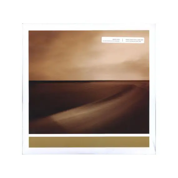 Brian Eno - Small craft on a milk sea (2LP)