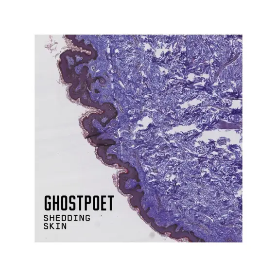 Ghostpoet - Shedding Skin LP