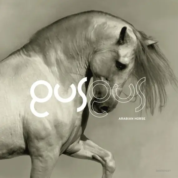 Gus Gus - Arabian Horse 2LP (+CD)