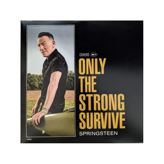Bruce Springsteen - Only the strong survive (ltd, orbit orange lp)