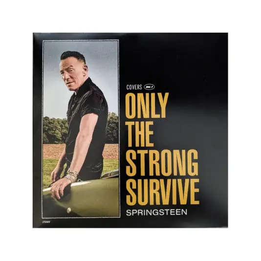 Bruce Springsteen - Only the strong survive (ltd, orbit orange lp)