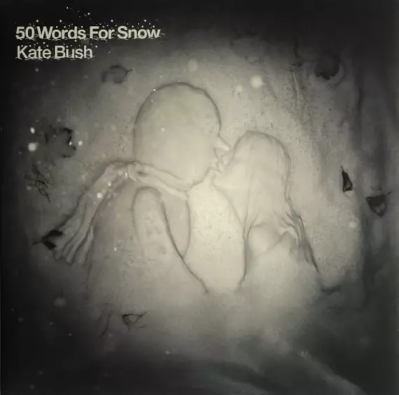 Kate Bush - 50 words for snow