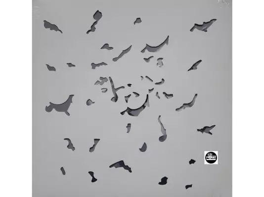 Petr Nikl + Miroslav Černý *-18