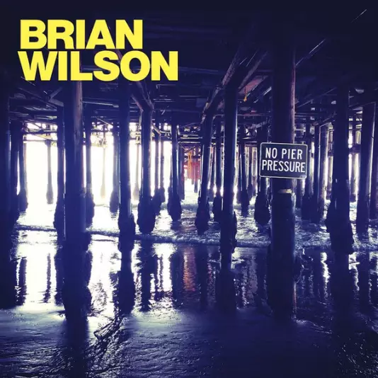 Brian Wilson - No Pier Pressure (2 LP)
