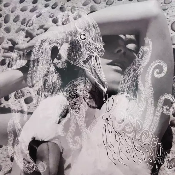 Bjork - Vespertine (2 LP)