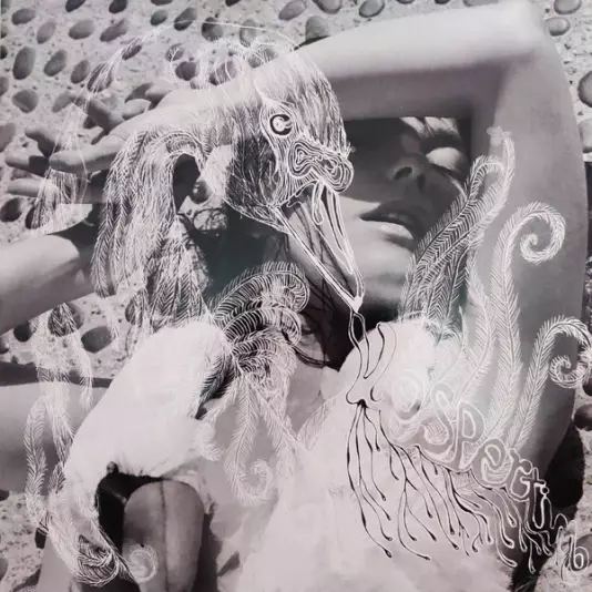 Bjork - Vespertine (2 LP)