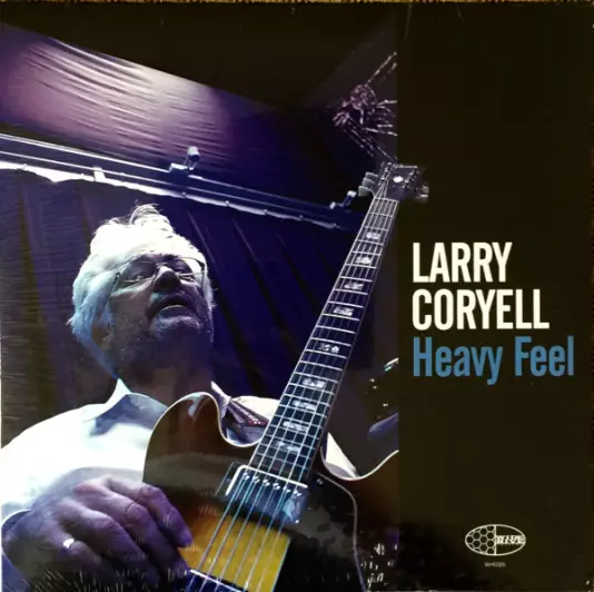 Larry Coryell - Heavy feel