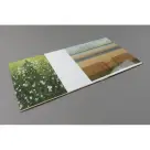 Eno Brian - The Ship 2LP