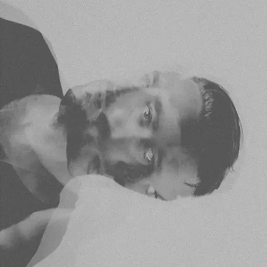 Acid, The - Liminal 2LP