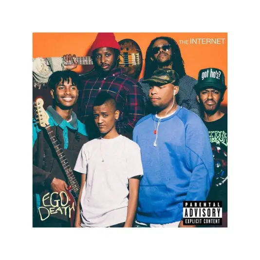 Internet, The - Ego Death 2LP