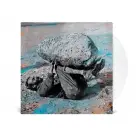 Forest Swords - Compassion LP (clear vinyl)
