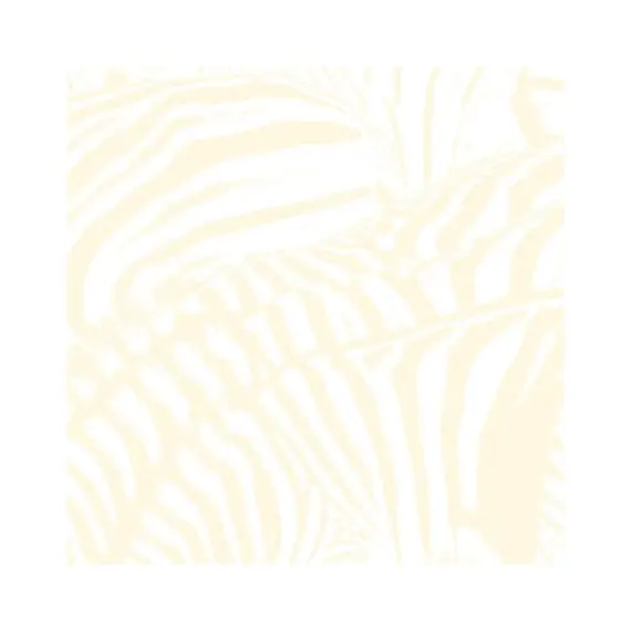 Beach House - Teen Dream 2LP (+DVD)