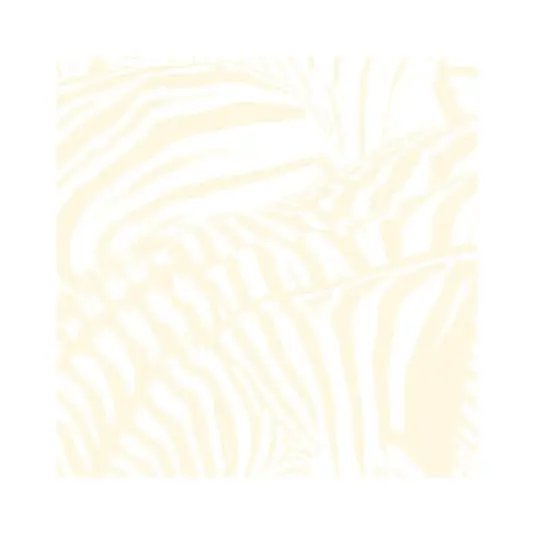 Beach House - Teen Dream 2LP (+DVD)