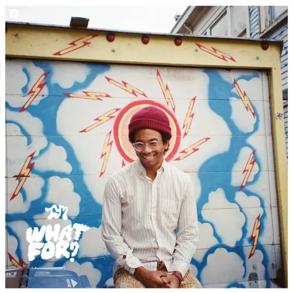 Toro Y Moi - What For? LP