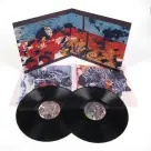 Grizzly Bear - Painted Ruins 2LP