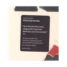 Grizzly Bear - Painted Ruins 2LP