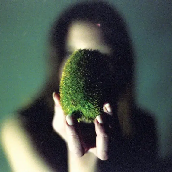 Circuit Des Yeux - In Plain Speech LP