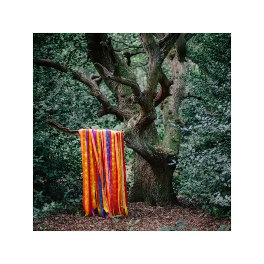 Holden James & The Animal Spirits - The Animal Spirits 2LP