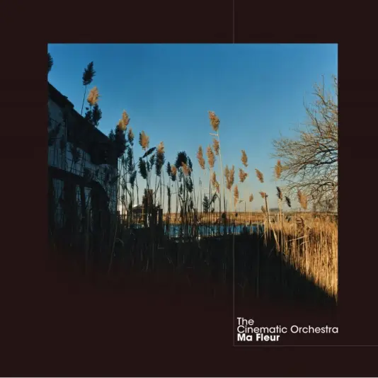 Cinematic Orchestra, The - Ma Fleur 2LP (box)